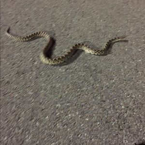 Meet your Posher, Jeremy